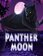 รีวิว เว็บ บอล ฟรี เครดิต สนุกจนไม่อยากเลิก